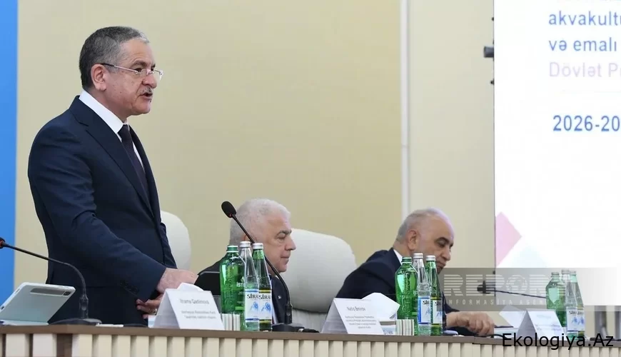 Prezidentin köməkçisi: "İcra hakimiyyətləri qarşısında yeni vəzifələr müəyyən edilib"