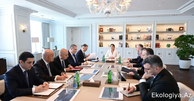 Mehriban Əliyevanın sədrliyi ilə Rəqəmsal İnkişaf Şurasının ilk iclası keçirilib-FOTO
