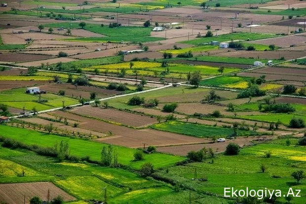 Kiçik torpaq sahələri ilə bağlı YENİLİK! Ekspert detalları açıqladı