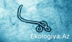 Bu ölkədə Ebola qurbanlarının sayı 290 nəfəri keçdi - RƏSMİ