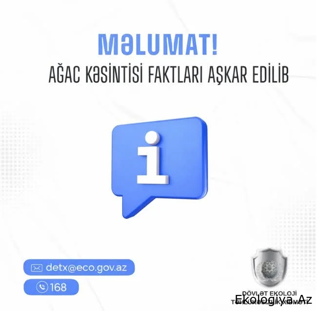 DETX bu rayonlarda yaşıllıqların məhv edilməsi faktı aşkarladı