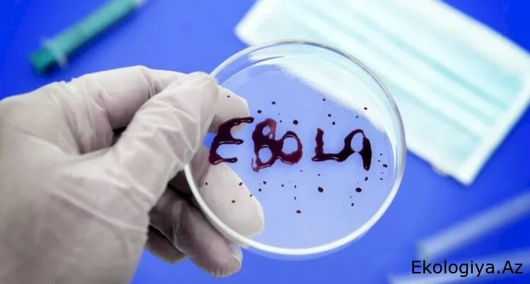“Ebola virusu sürətlə yayılır” - ÜST