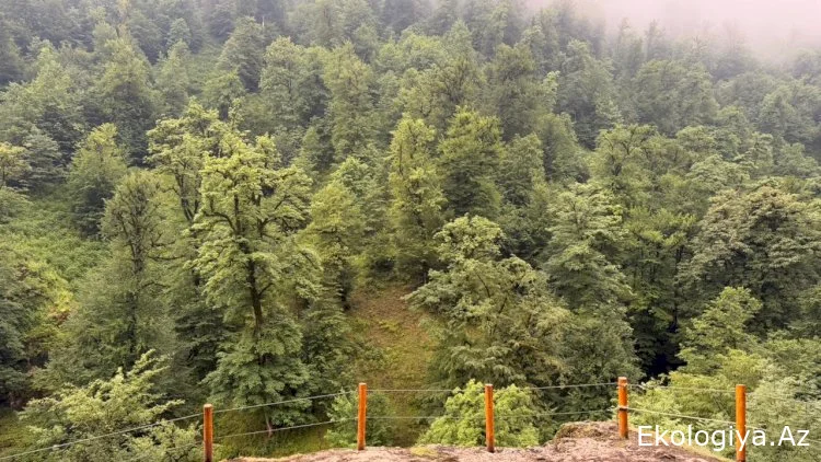 Azərbaycanda gizli cənnət varmış – 74 bulaq, 4 şəlalə və nağıl kimi kənd