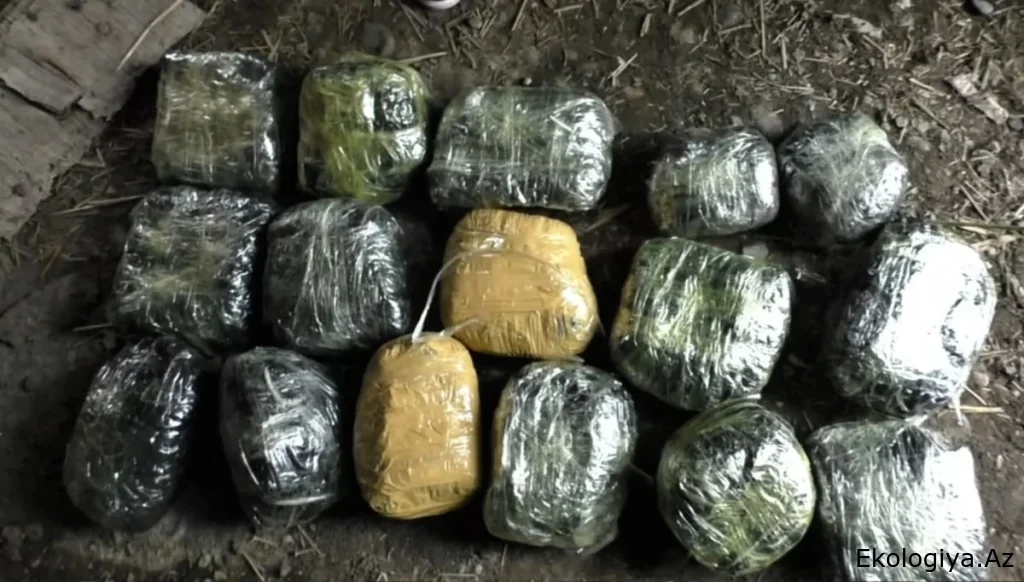 Cəlilabad RPŞ əməliyyat keçirdi - 18 kiloqram narkotik aşkarlandı