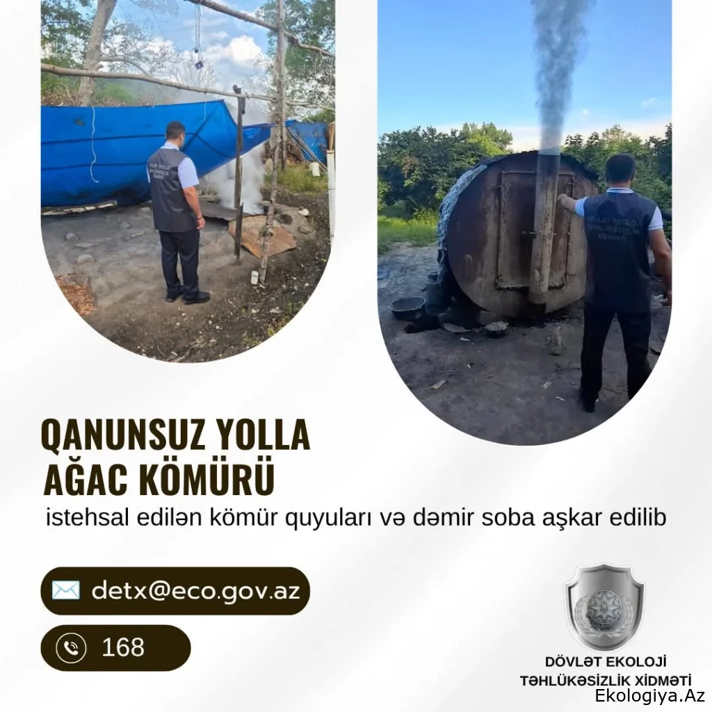Bu rayonlarda qanunsuz yolla ağac kömürü istehsal edilən kömür quyuları və dəmir soba aşkar olunub