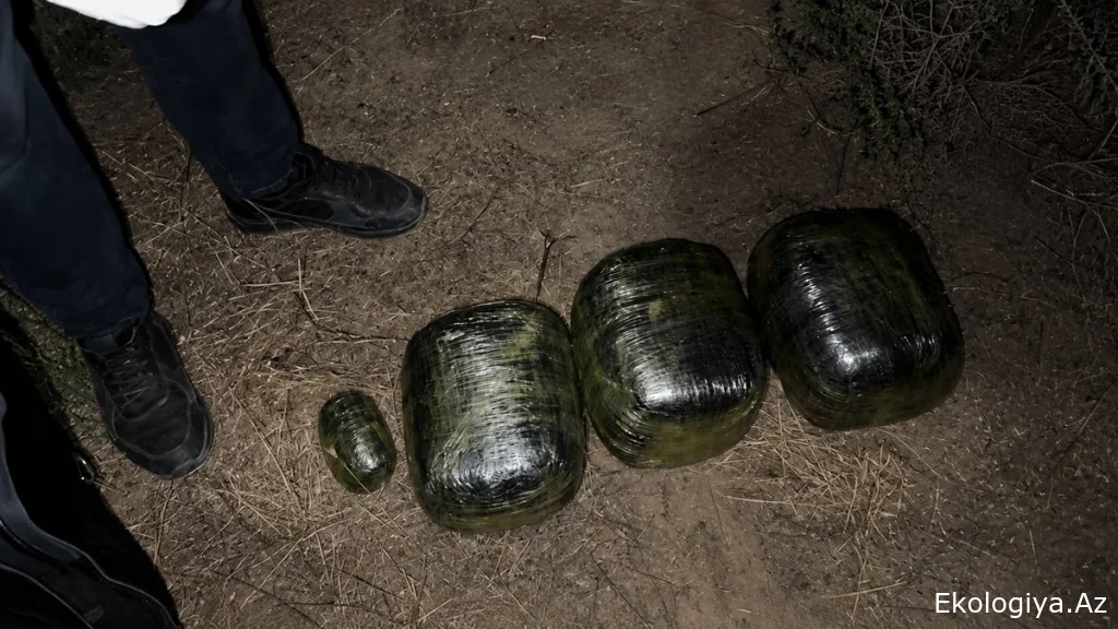 DİN əməkdaşları 8 kiloqram narkotik vasitə aşkarladı - SAXLANILANLAR VAR