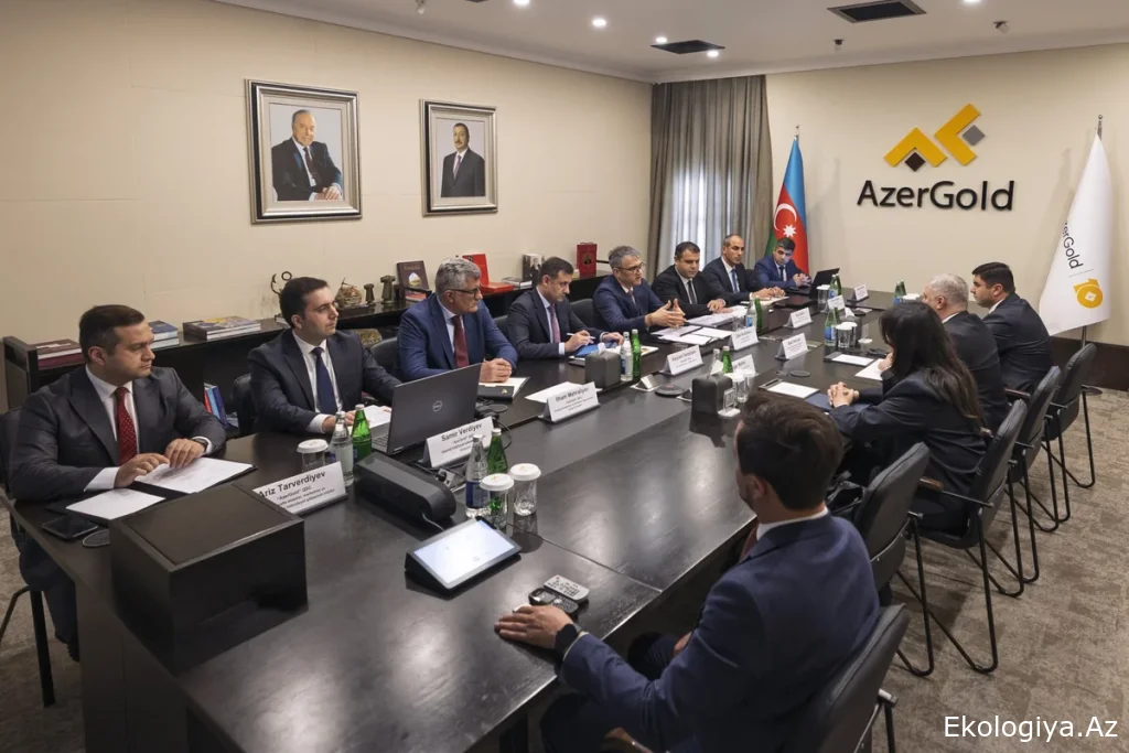 "AzerGold"da Kəlbəcərin Söyüdlü qızıl yatağı layihəsinin icra vəziyyəti nəzərdən keçirilib