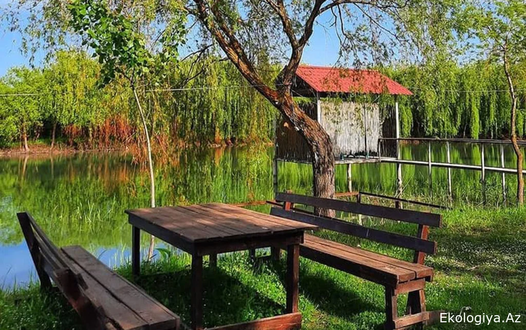 Bu 3 kəndin adı dəyişdirildi