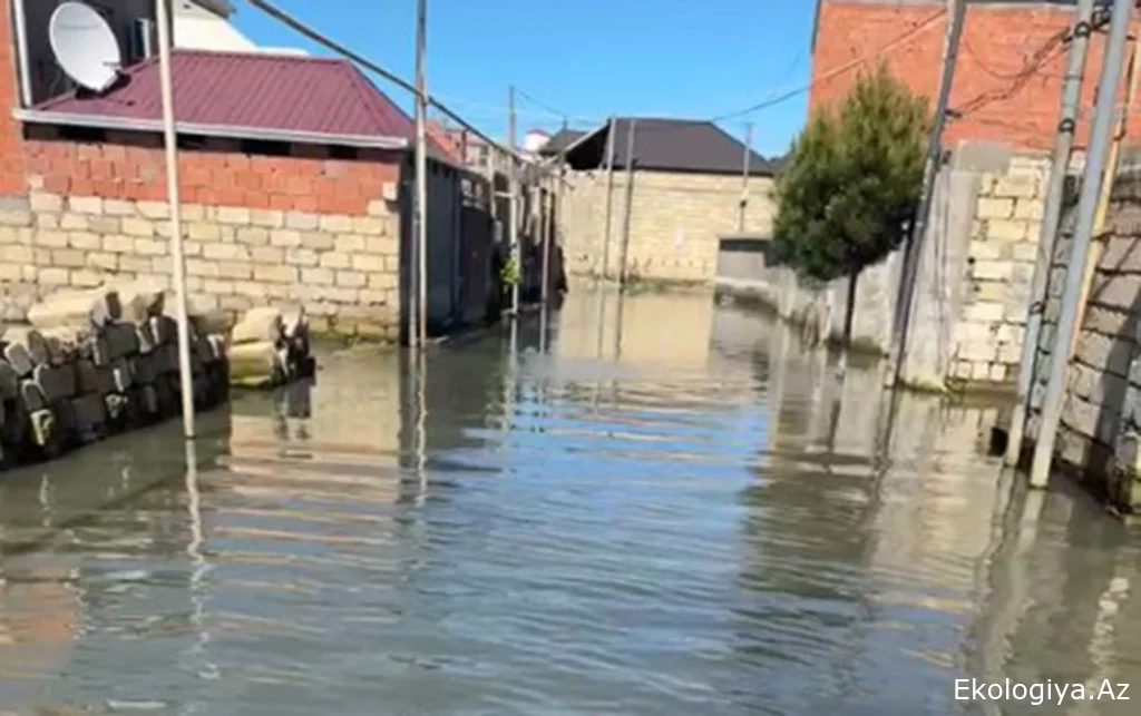 “Masazırda 15 gündən çoxdur suyun içindəyik, evimizi tərk etməli olmuşuq” - Video