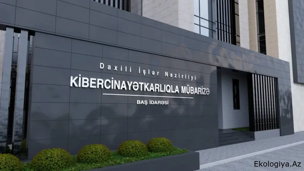 Kiberpolis "1xBet" platforması vasitəsilə qanunsuz mərc oyunları təşkil edən cinayətkar dəstəni ifşa edib