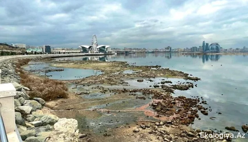 Xəzər dənizi sürətlə kiçilir - 30 ildə Albaniya boyda ərazi yox olub
