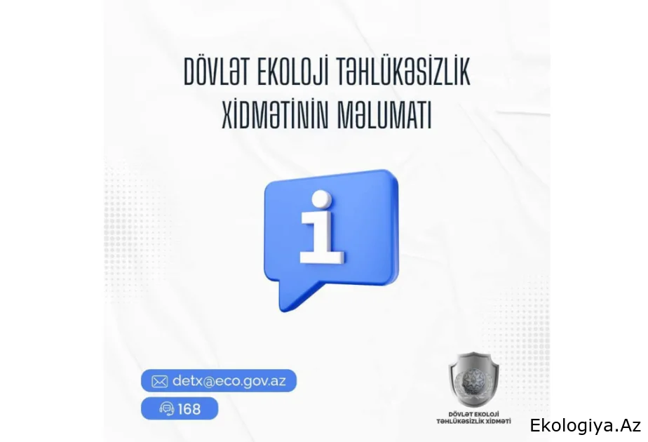Bakıda və İsmayıllıda ağacların qanunsuz kəsilməsi faktları aşkarlandı, tədbir görüldü