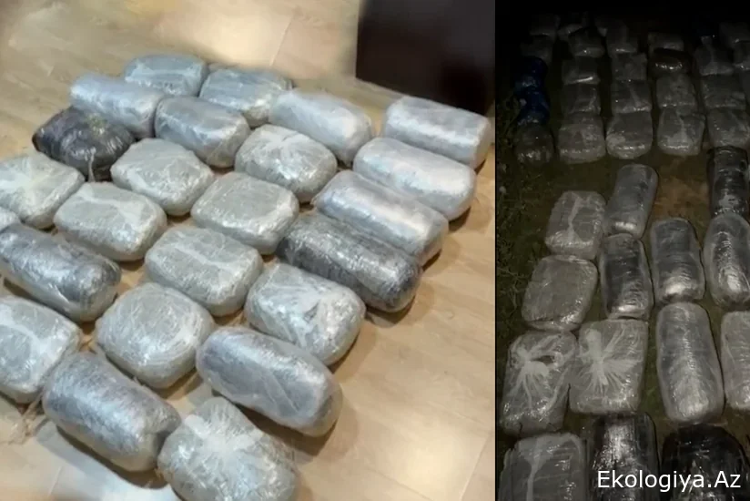 DİN bu rayonlarda əməliyyat keçirdi: 76 kiloqram narkotik vasitə və 2000 ədəd metadon həbi dövriyyədən çıxarıldı