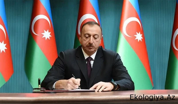 Prezident onu nazir müavini təyin etdi - FOTO