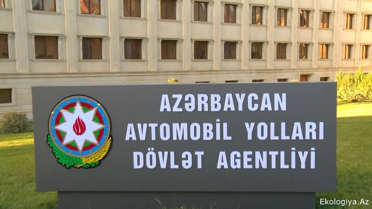 AAYDA rəqəmsallaşma və innovasiya ekosisteminin inkişafı üzrə yol xəritəsini müzakirə edib