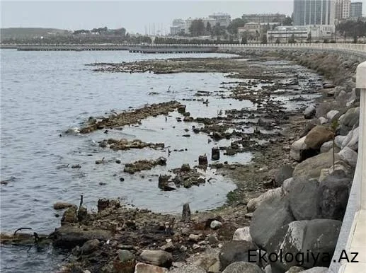 Xəzər dənizinin quruması ilə bağlı SOS - "... bu tarixə qədər 32,4 metr də quruyacaq"