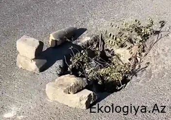 Abşeron icra hakimiyyəti qapaqsız lük şikayətinə belə CAVAB VERİB