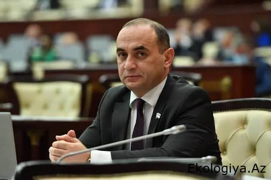 Ceyhun Məmmədov: Ekologiya sahəsində süni intellektin rolu getdikcə artır