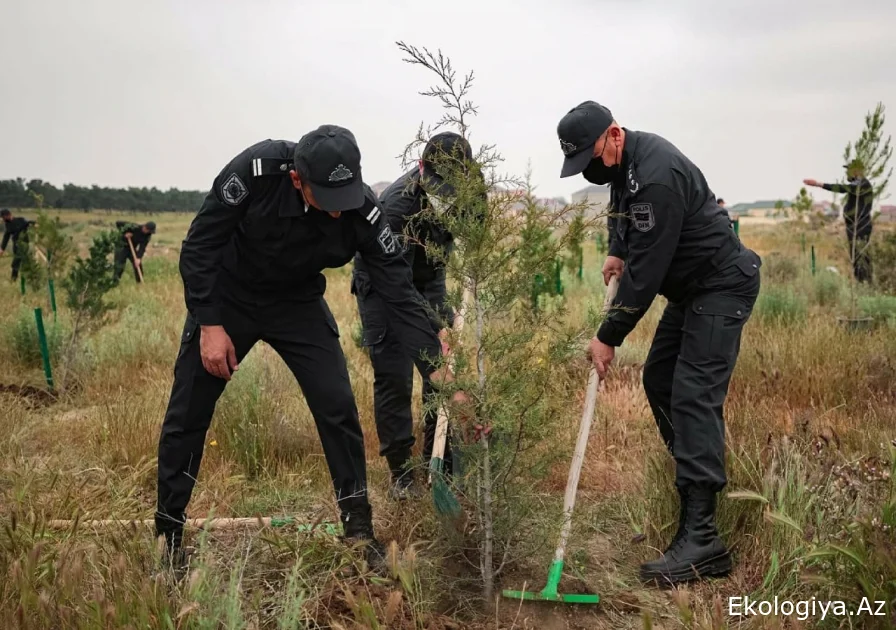 Polisi ictimai asayişlə yanaşı ətraf mühitin də keşiyindədir-FOTO