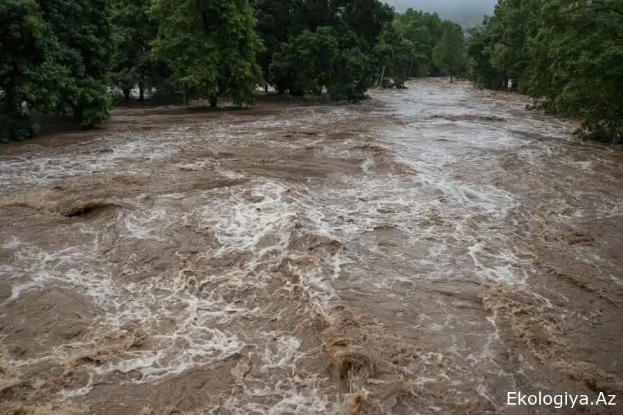 Yardımlı sakinlərinə çağırış: Təbiəti və su hövzələrini birgə qoruyaq