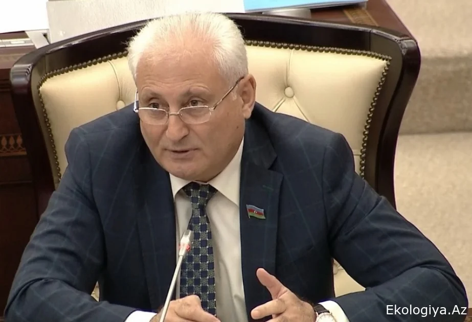 Deputat Hikmət Babaoğlu: Təbiətə ziyan vuranlara qarşı cərimələr sərtləşdirilə bilər