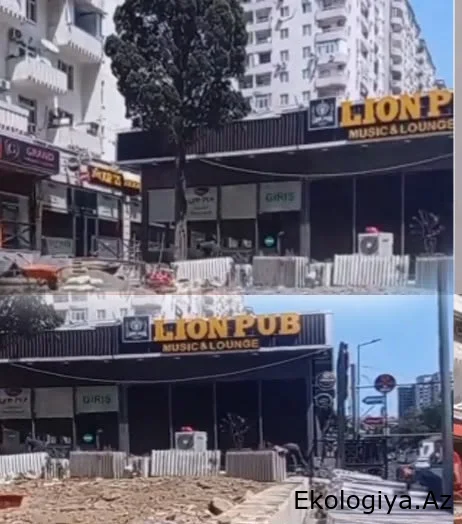 Xətaidə park və piyada səkisi PUB-a çevrilib?