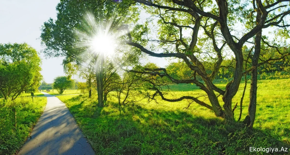Sabah da 39° isti olacaq
