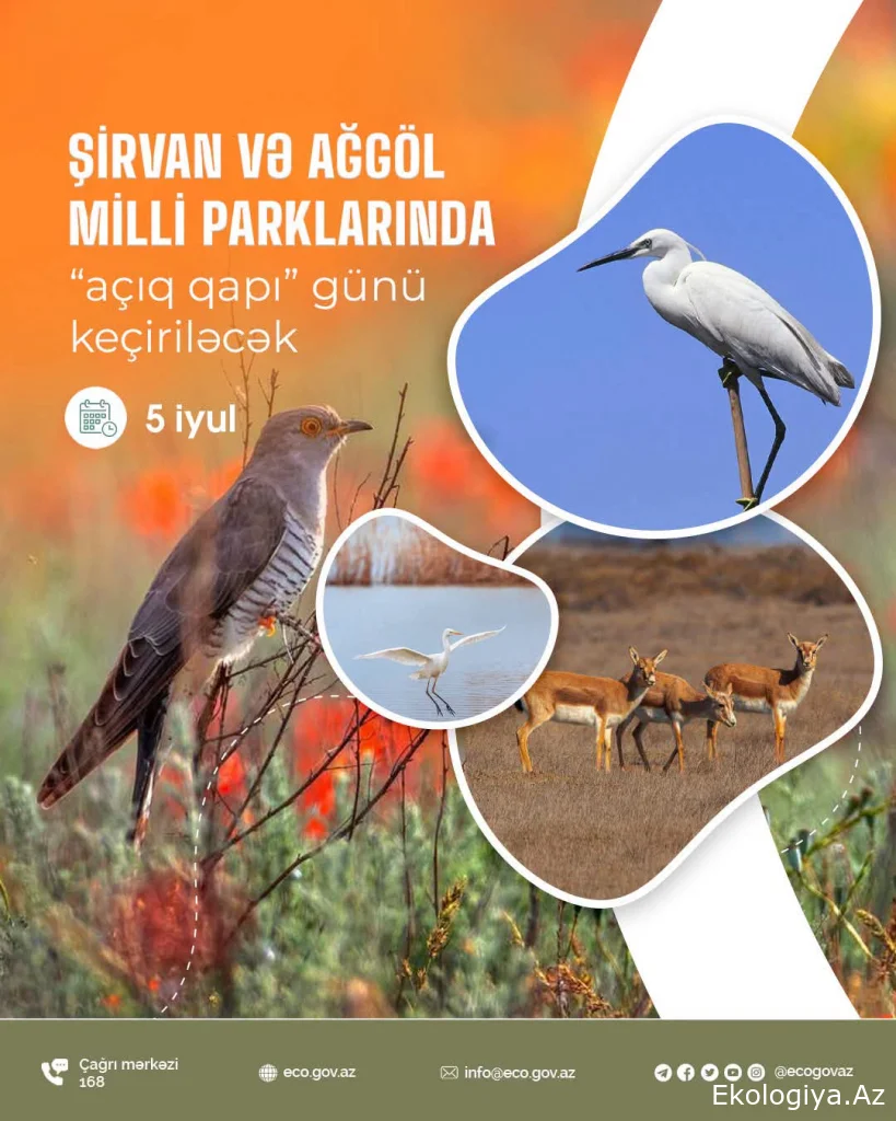 Şirvan və Ağgöl milli parklarında "Açıq qapı" günü keçiriləcək