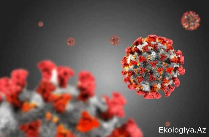 Yeni virus GƏLİR...